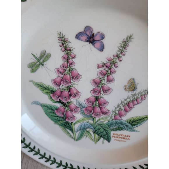 Portmeirion Botanic Gardens AS IS‎ Foxglove 10" plate - Picture 5 of 11